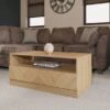 Taranto Coffee Table 2 Taranto Coffee Table -Dunelm Shop 30860060
