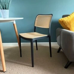 Fusion Living Plastic Cafe Dining Chair -Dunelm Shop 30960509