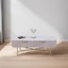 Indus Valley Cleo Coffee Table 2 Indus Valley Cleo Coffee Table -Dunelm Shop 30982731