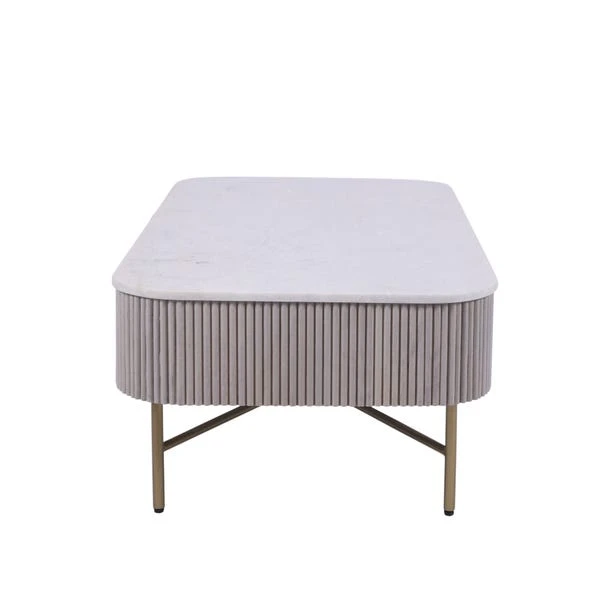 Indus Valley Cleo Coffee Table 6 Indus Valley Cleo Coffee Table - Image 4